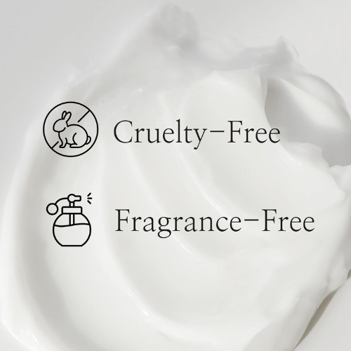 Beauty of Joseon Dynasty Cream 50ml | Korean Anti-Aging Moisturizer