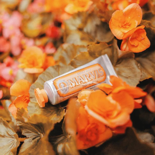 Marvis Ginger Mint Toothpaste – 75ml / 3.8 oz | Zesty Ginger & Cool Mint