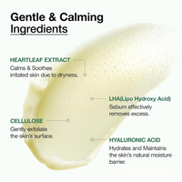 ANUA Heartleaf LHA Moisture Peeling Gel 120ml | Korean Gentle Exfoliating Gel