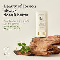 Beauty of Joseon Matte Sun Stick: Mugwort + Camellia (18g) – SPF 50 PA++++