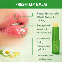 KAN KANECHOMN Lip Treatment Balm | Deep Repair & Hydrating Lip Care | Soft & Healthy Lips