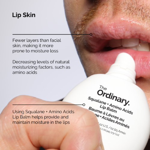 The Ordinary Squalane + Amino Acids Lip Balm (15 ml)